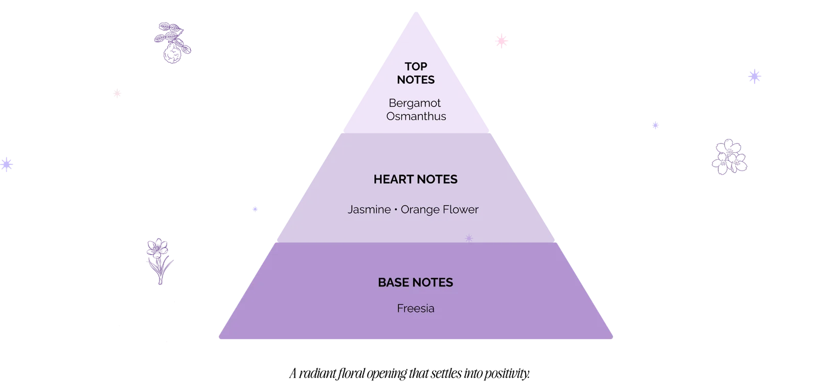 Amethyst fragrance pyramid. Top notes: Bergamot and Osmanthus. Heart notes: Jasmine and Orange Flower. Base notes: Freesia.